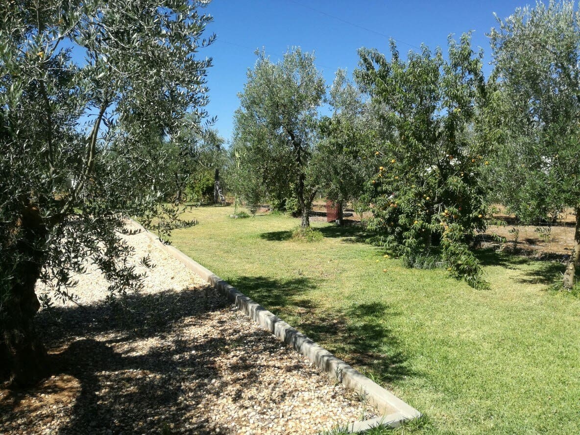 3 soverom Finca/Herregård til salgs i Almonte med svømmebasseng garasje - € 455 000 (Ref: 8793302)