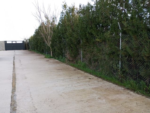 2 Zimmer Finca/Landgut zu verkaufen in Almonte mit Garage - 135.000 € (Ref: 8975810)