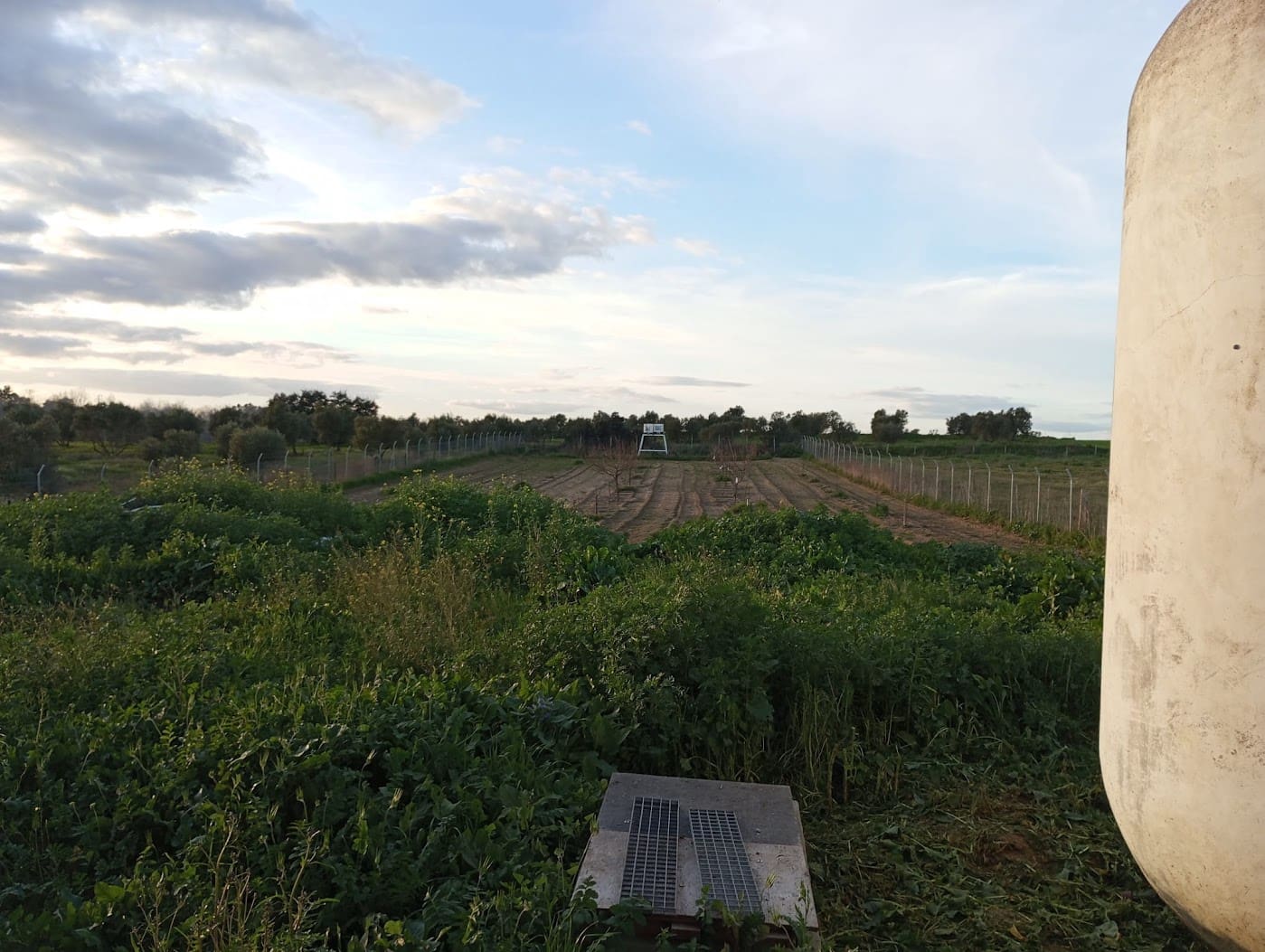 2 soveværelse Finca/Landehus til salg i Almonte med garage - € 135.000 (Ref: 8975810)