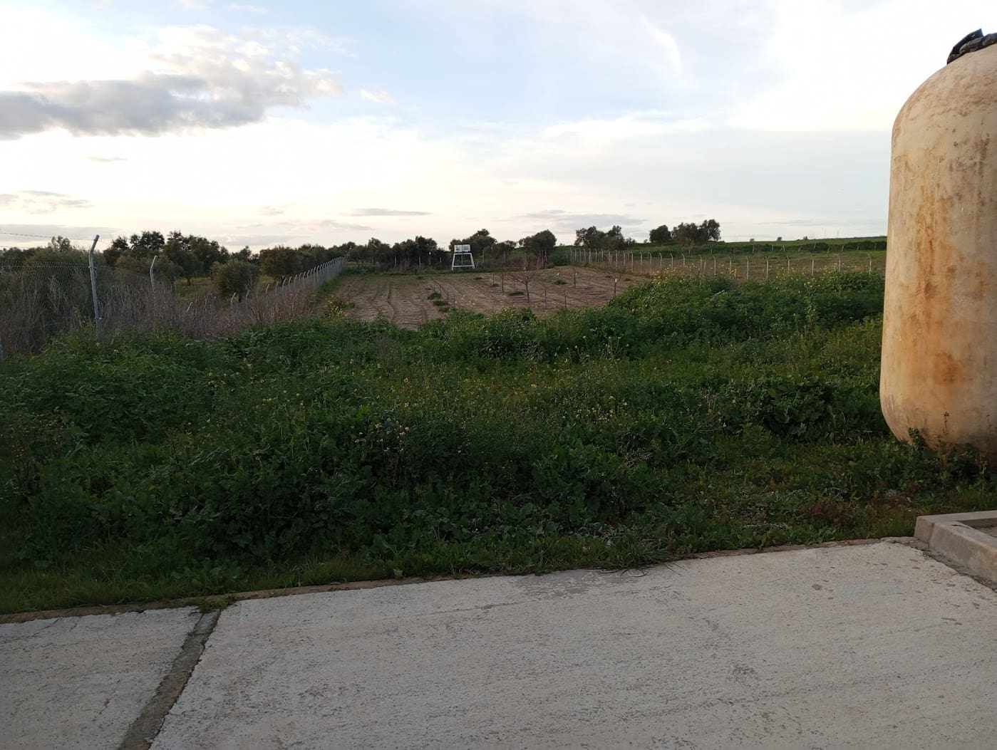 2 soveværelse Finca/Landehus til salg i Almonte med garage - € 135.000 (Ref: 8975810)