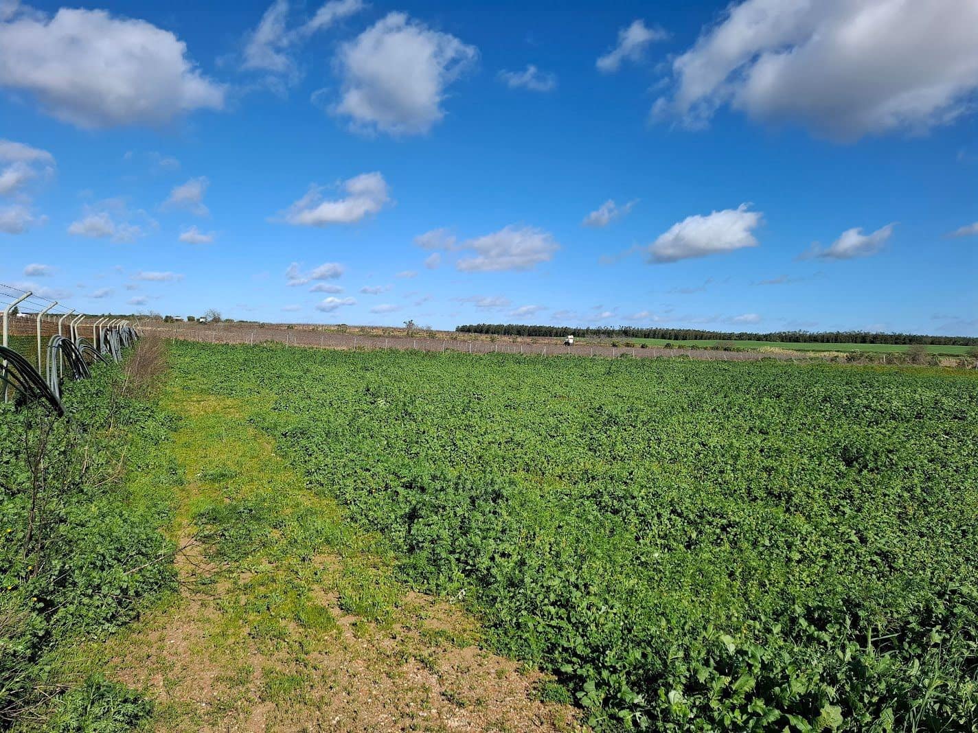 Byggetomt til salgs i Almonte - € 46 000 (Ref: 9036391)