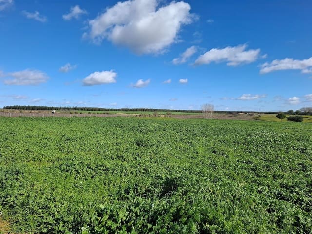 Tontti myytävänä paikassa Almonte - 46 000 € (Ref: 9036391)