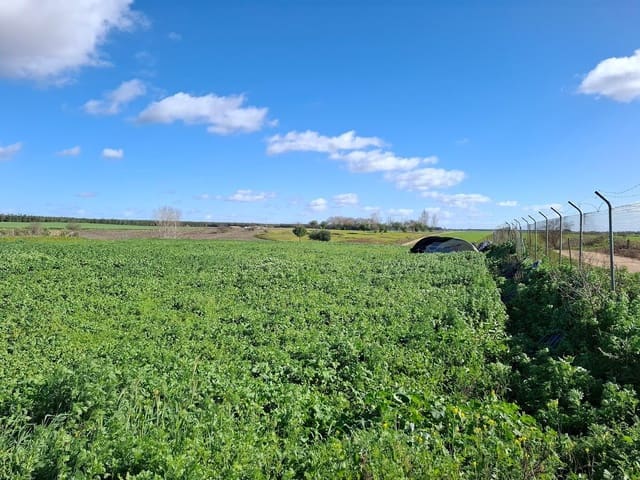 Tontti myytävänä paikassa Almonte - 46 000 € (Ref: 9036391)