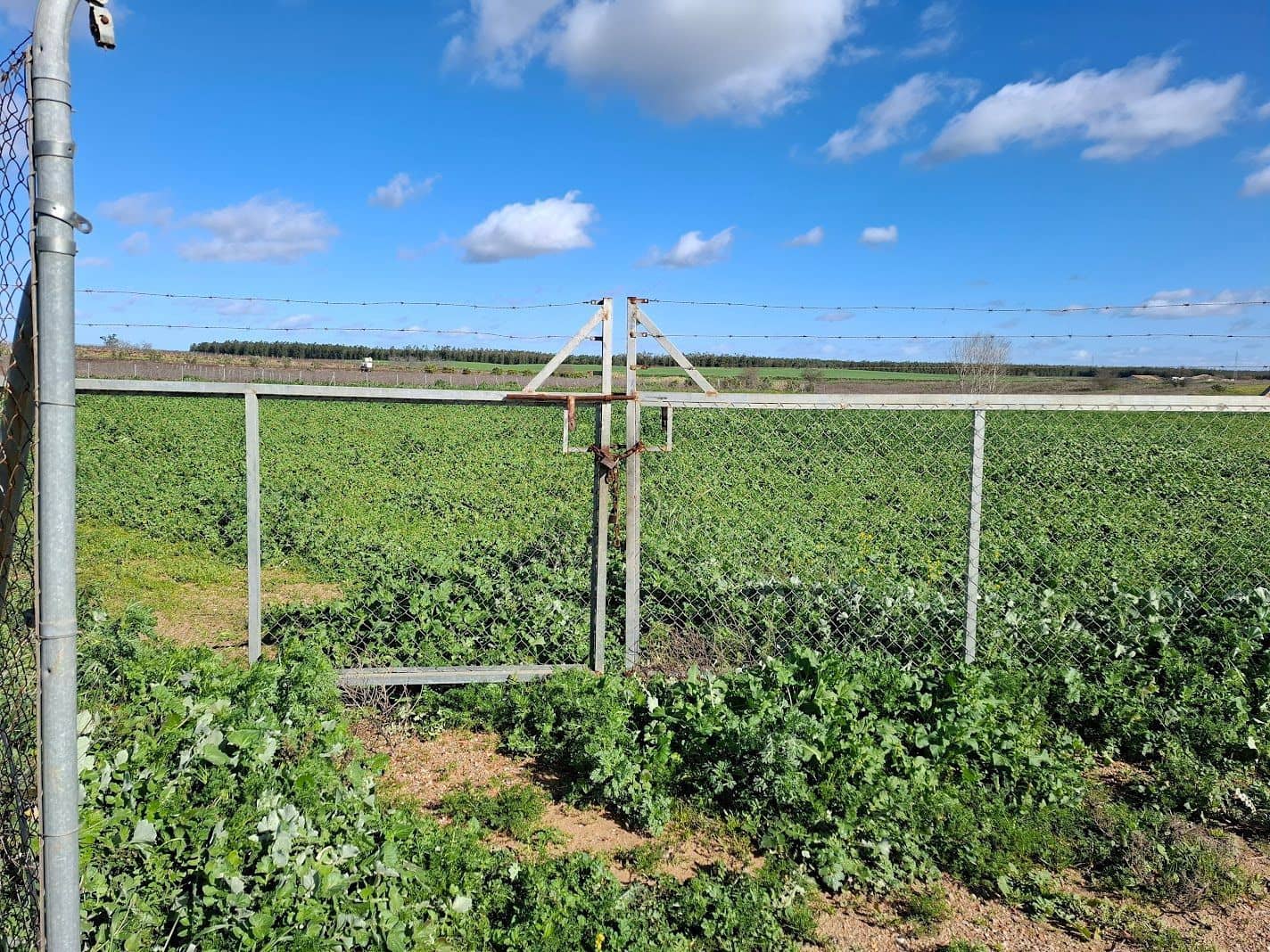 Byggetomt til salgs i Almonte - € 46 000 (Ref: 9036391)