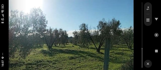 Tontti myytävänä paikassa Almonte - 17 500 € (Ref: 9036399)