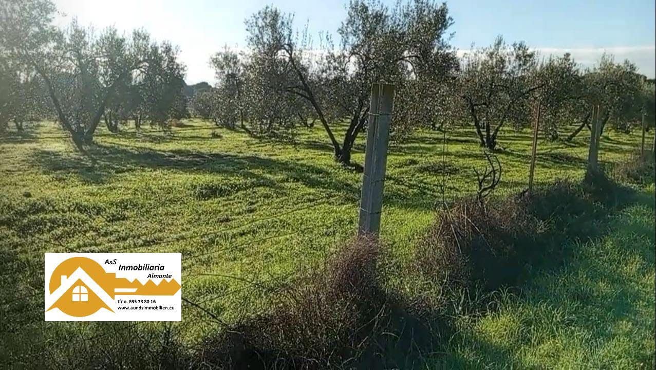 Byggegrund til salg i Almonte - € 17.500 (Ref: 9036399)