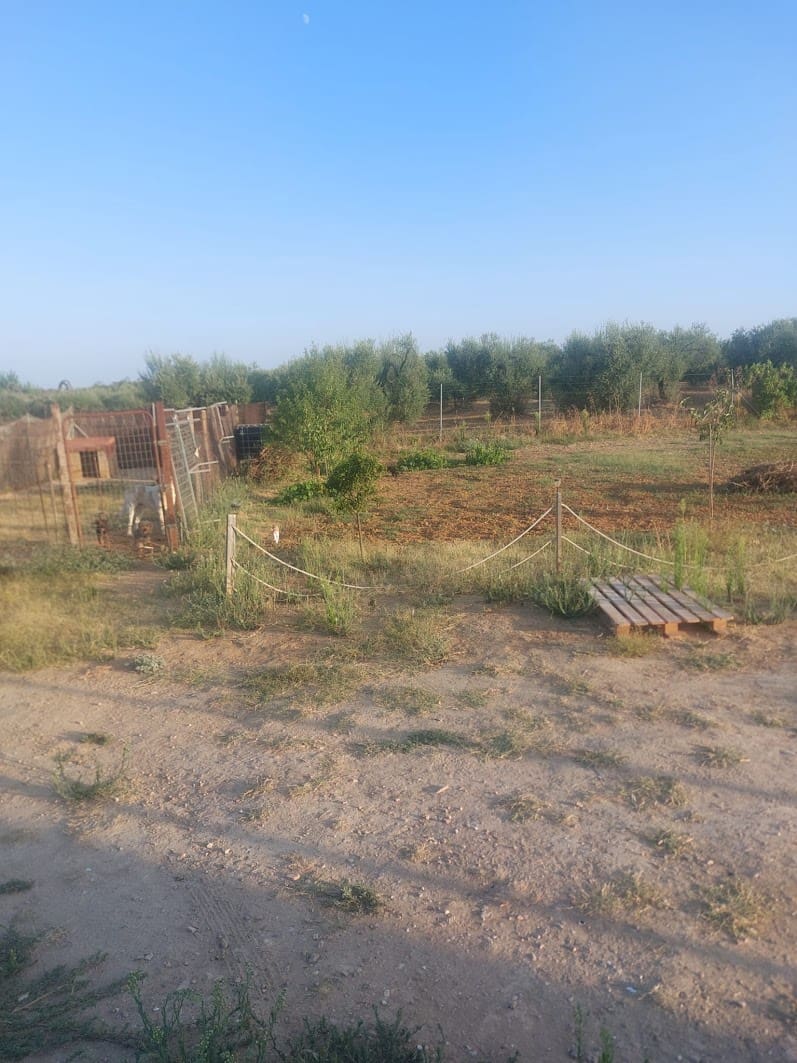 1 sypialnia Finka/Dom wiejski na sprzedaż w Almonte z basenem garażem - 53 000 € (Ref: 9143921)