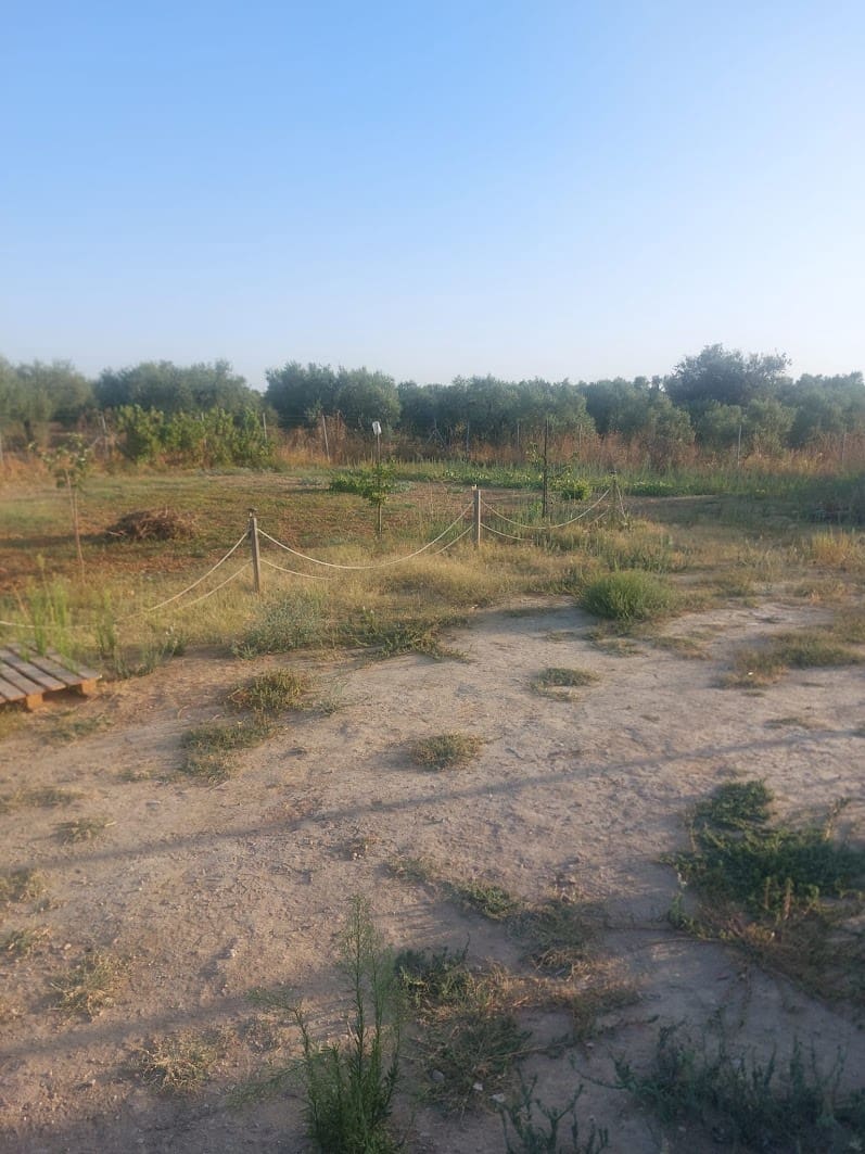 1 sypialnia Finka/Dom wiejski na sprzedaż w Almonte z basenem garażem - 53 000 € (Ref: 9143921)