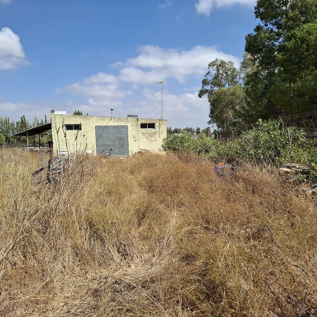 3 camera da letto Finca/Casa di Campagna in vendita in Almonte con piscina garage - 190.000 € (Rif: 9154321)