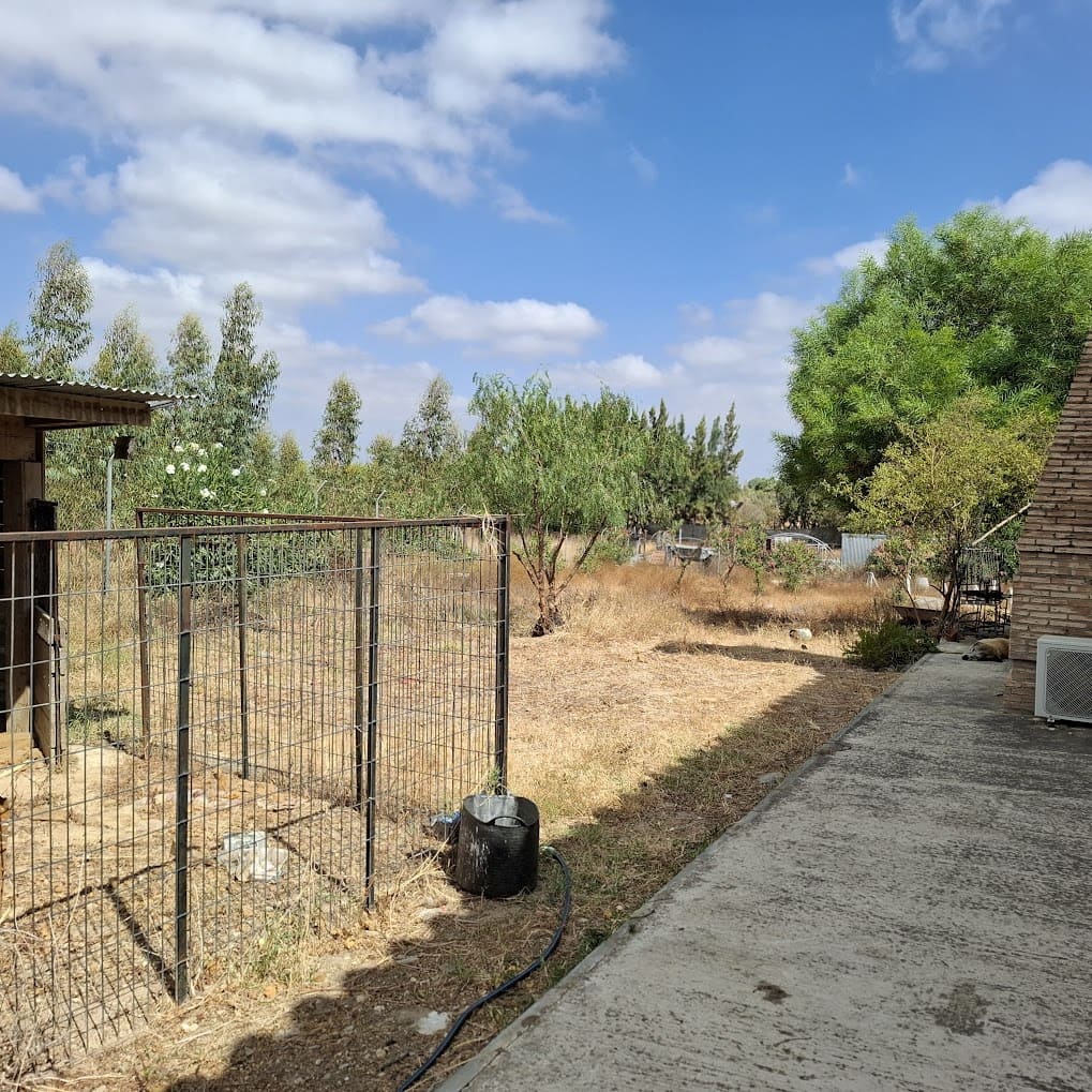 3 camera da letto Finca/Casa di Campagna in vendita in Almonte con piscina garage - 190.000 € (Rif: 9154321)