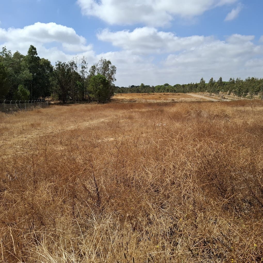 3 camera da letto Finca/Casa di Campagna in vendita in Almonte con piscina garage - 190.000 € (Rif: 9154321)