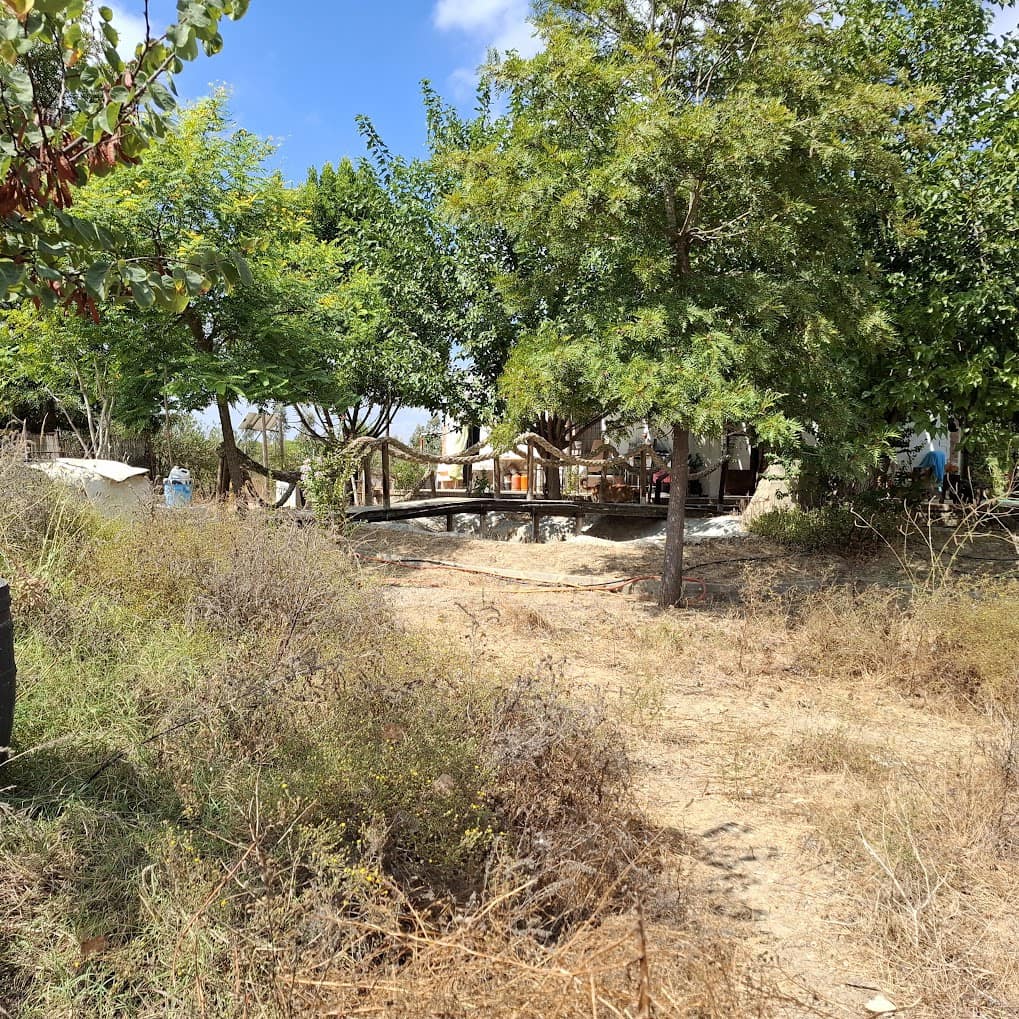 3 camera da letto Finca/Casa di Campagna in vendita in Almonte con piscina garage - 190.000 € (Rif: 9154321)