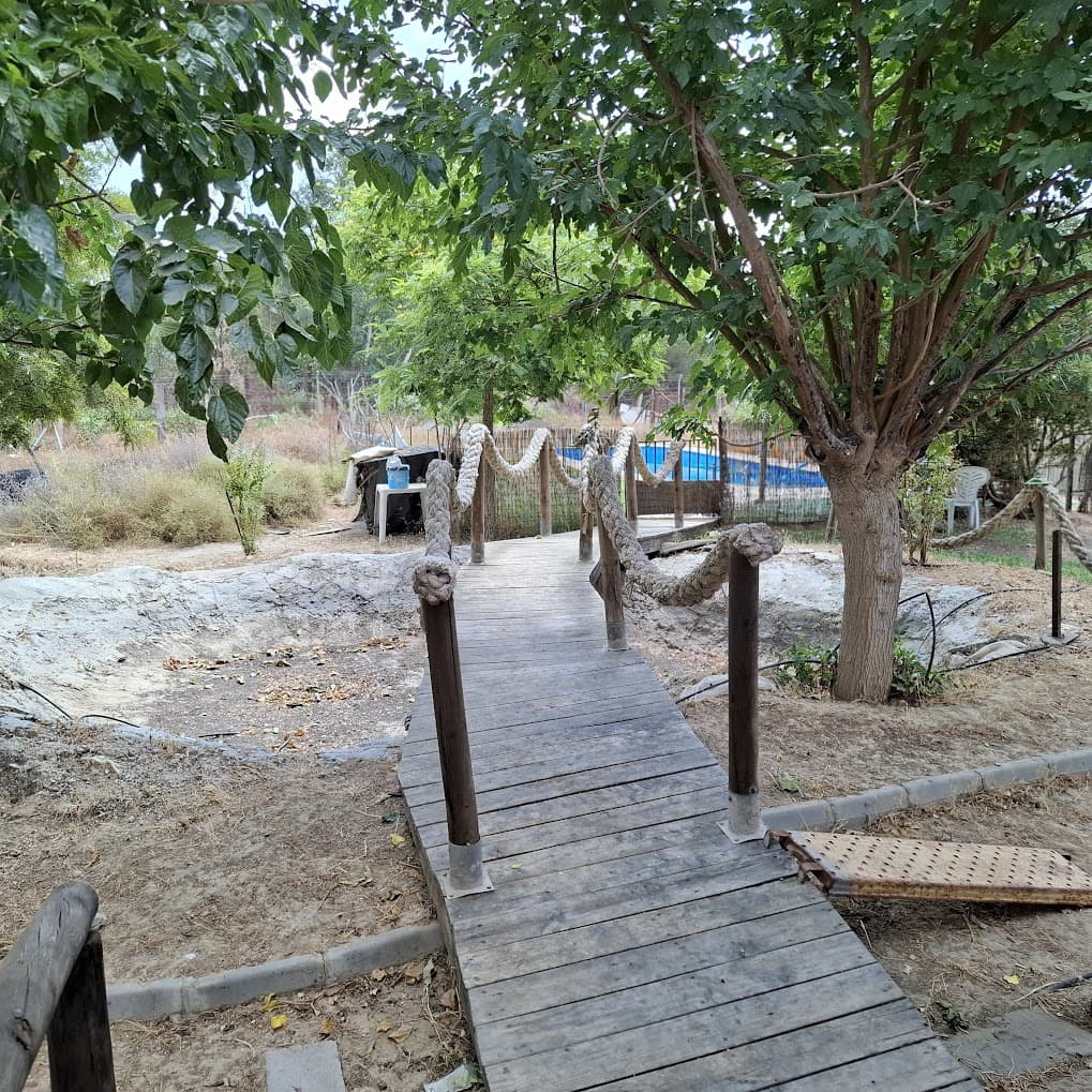 3 camera da letto Finca/Casa di Campagna in vendita in Almonte con piscina garage - 190.000 € (Rif: 9154321)