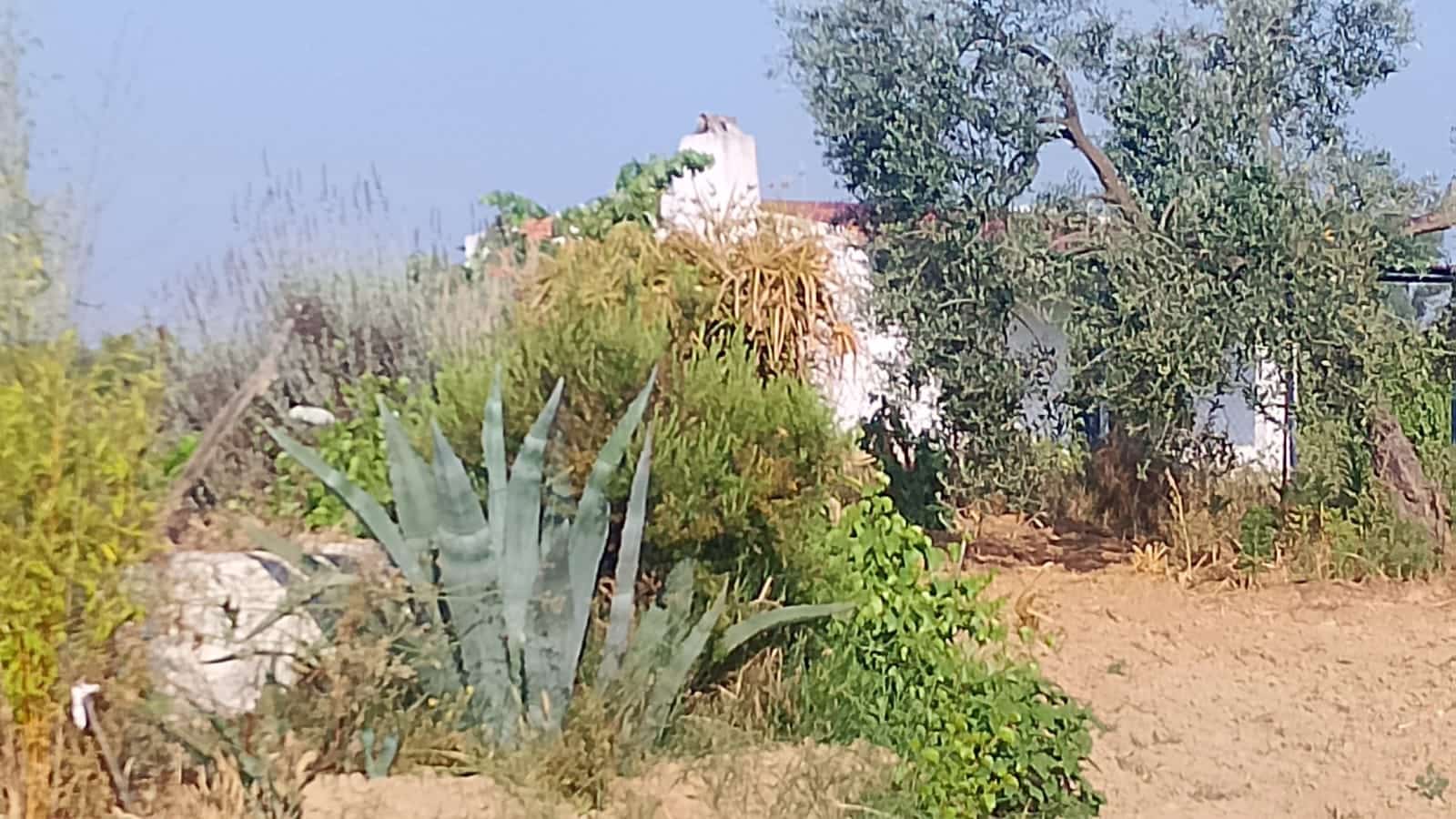 2 sypialnia Finka/Dom wiejski na sprzedaż w Almonte z garażem - 60 000 € (Ref: 9165583)