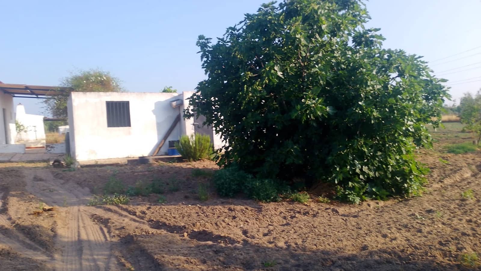 2 sypialnia Finka/Dom wiejski na sprzedaż w Almonte z garażem - 60 000 € (Ref: 9165583)