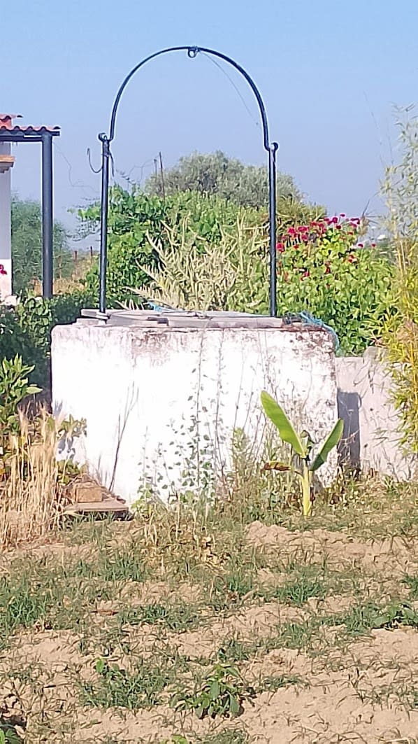 2 sypialnia Finka/Dom wiejski na sprzedaż w Almonte z garażem - 60 000 € (Ref: 9165583)