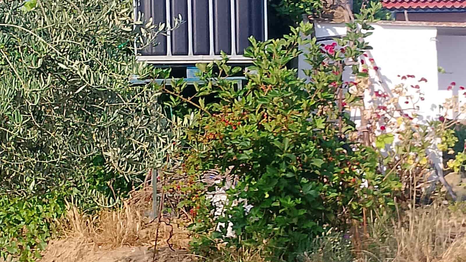 2 sypialnia Finka/Dom wiejski na sprzedaż w Almonte z garażem - 60 000 € (Ref: 9165583)