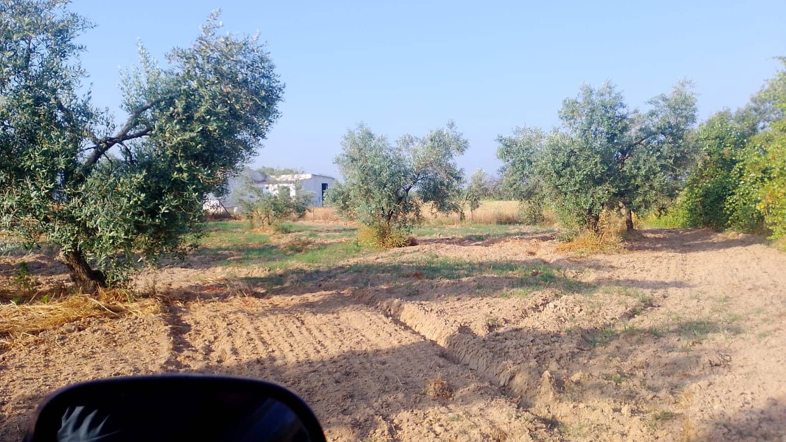 2 sypialnia Finka/Dom wiejski na sprzedaż w Almonte z garażem - 60 000 € (Ref: 9165583)