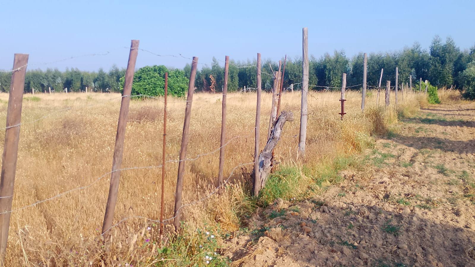 2 sypialnia Finka/Dom wiejski na sprzedaż w Almonte z garażem - 60 000 € (Ref: 9165583)