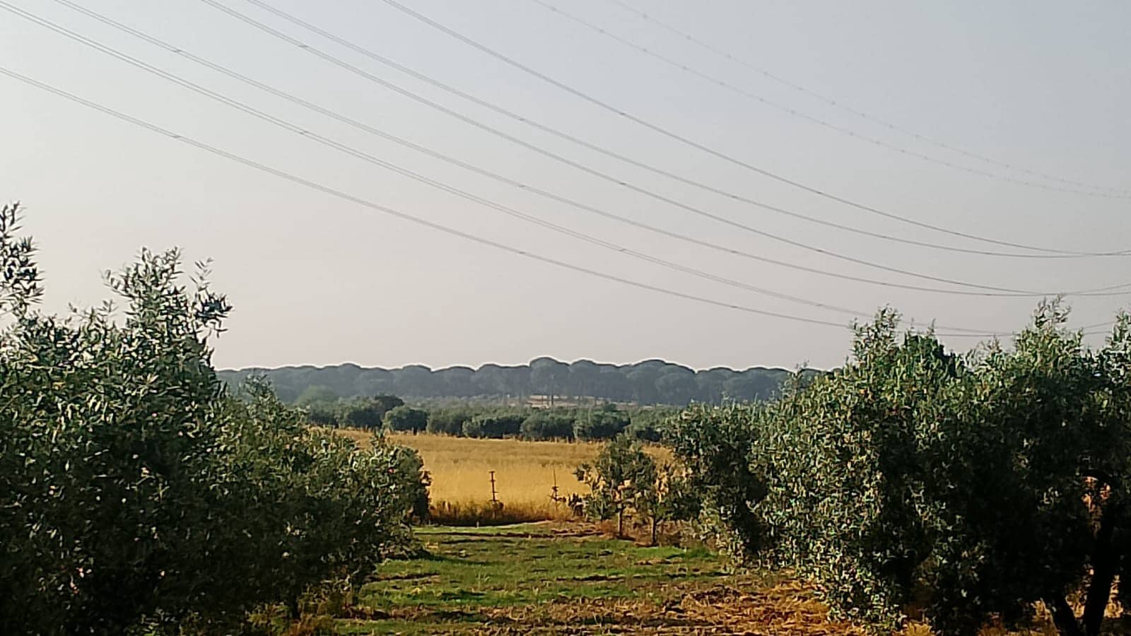 2 sypialnia Finka/Dom wiejski na sprzedaż w Almonte z garażem - 60 000 € (Ref: 9165583)