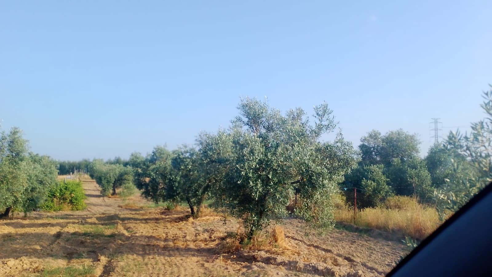 2 sypialnia Finka/Dom wiejski na sprzedaż w Almonte z garażem - 60 000 € (Ref: 9165583)