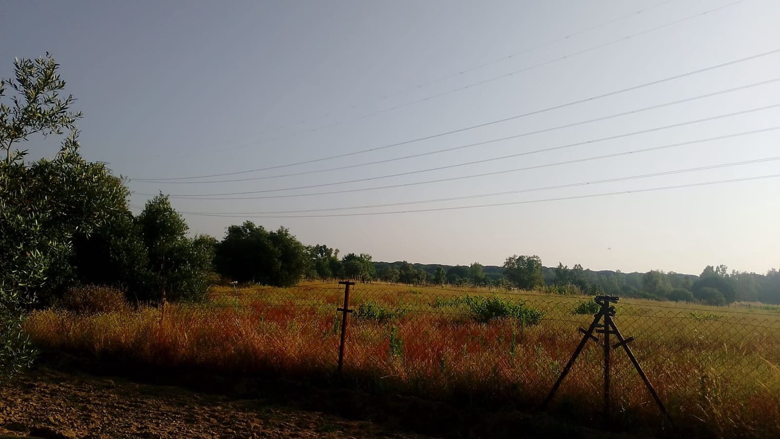 2 sypialnia Finka/Dom wiejski na sprzedaż w Almonte z garażem - 60 000 € (Ref: 9165583)