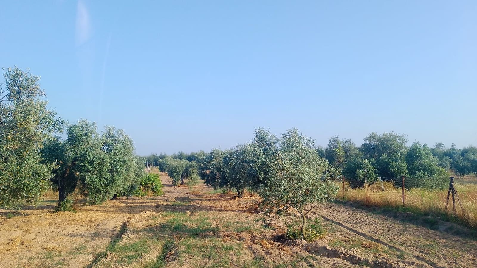 2 sypialnia Finka/Dom wiejski na sprzedaż w Almonte z garażem - 60 000 € (Ref: 9165583)