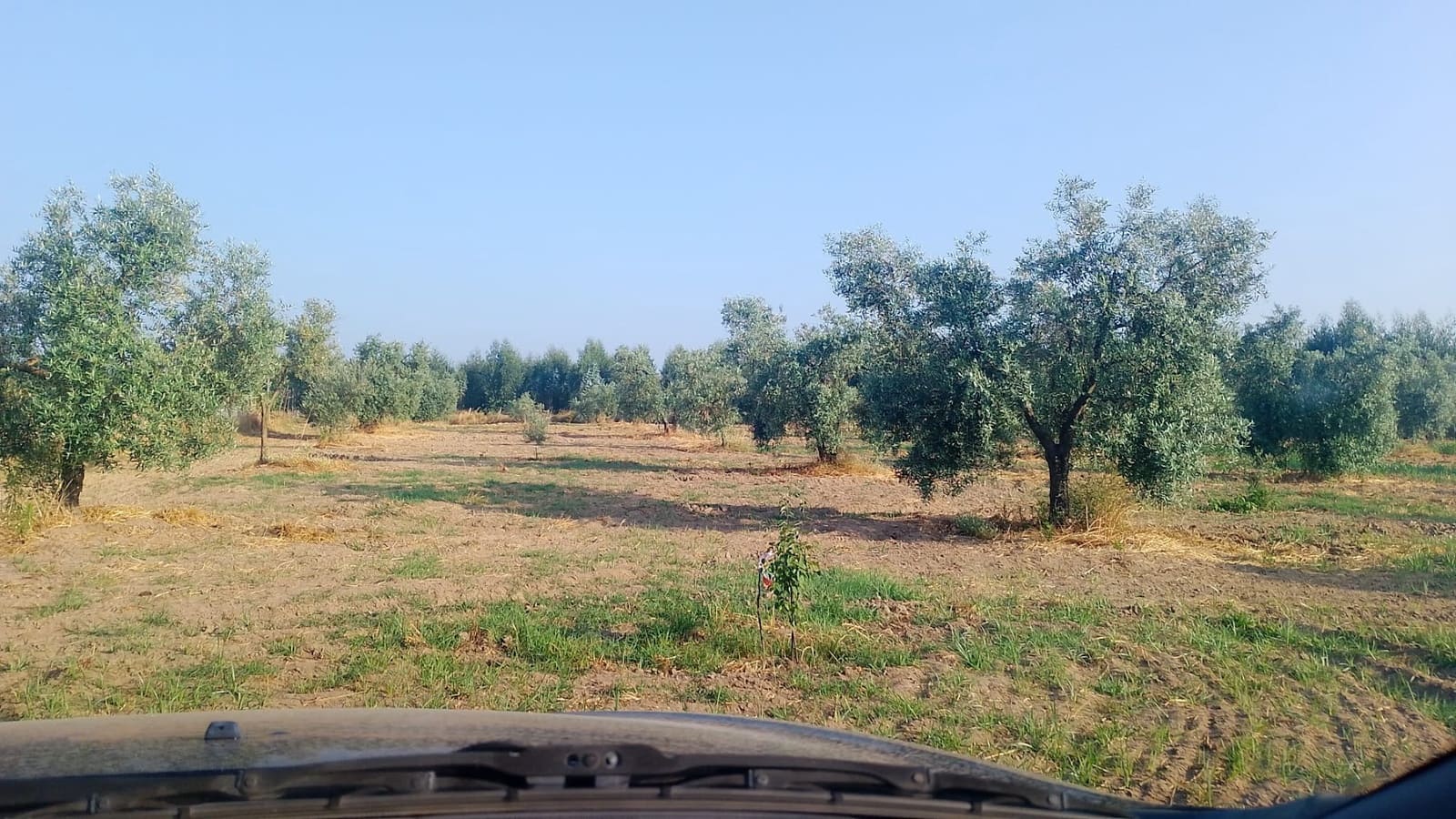 2 sypialnia Finka/Dom wiejski na sprzedaż w Almonte z garażem - 60 000 € (Ref: 9165583)