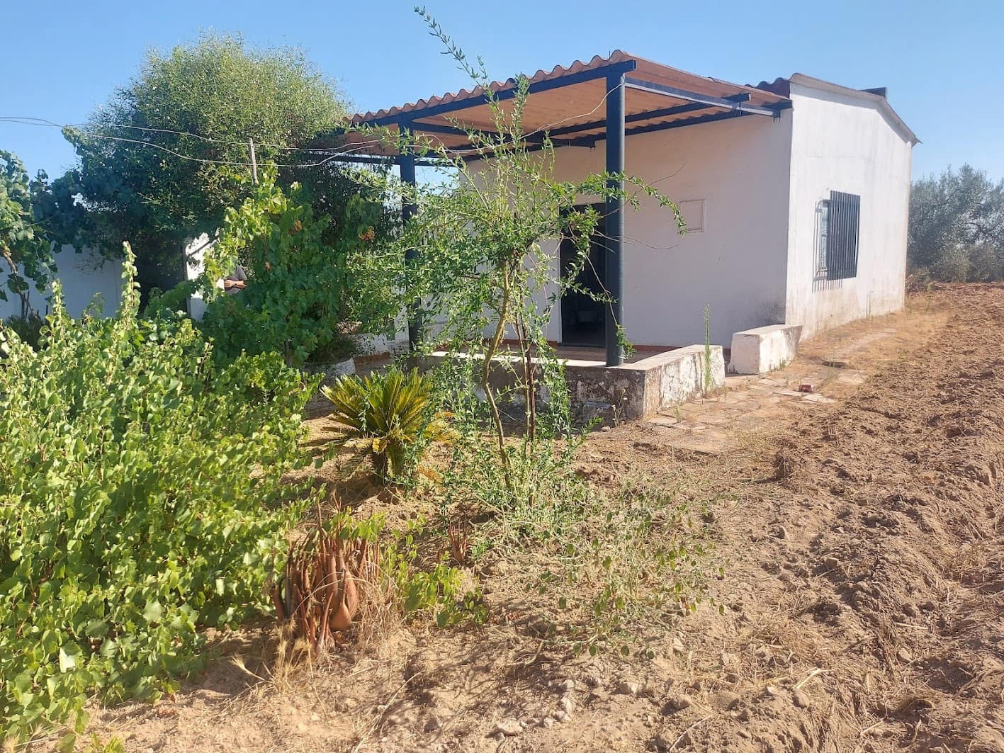 2 sypialnia Finka/Dom wiejski na sprzedaż w Almonte z garażem - 60 000 € (Ref: 9165583)