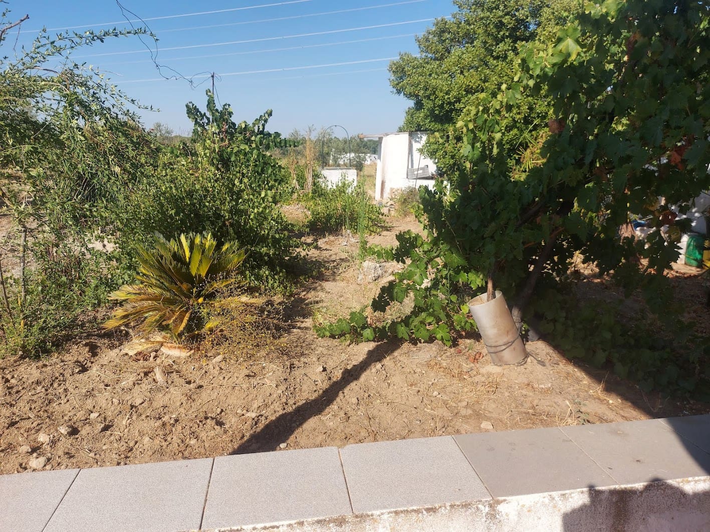 2 sypialnia Finka/Dom wiejski na sprzedaż w Almonte z garażem - 60 000 € (Ref: 9165583)