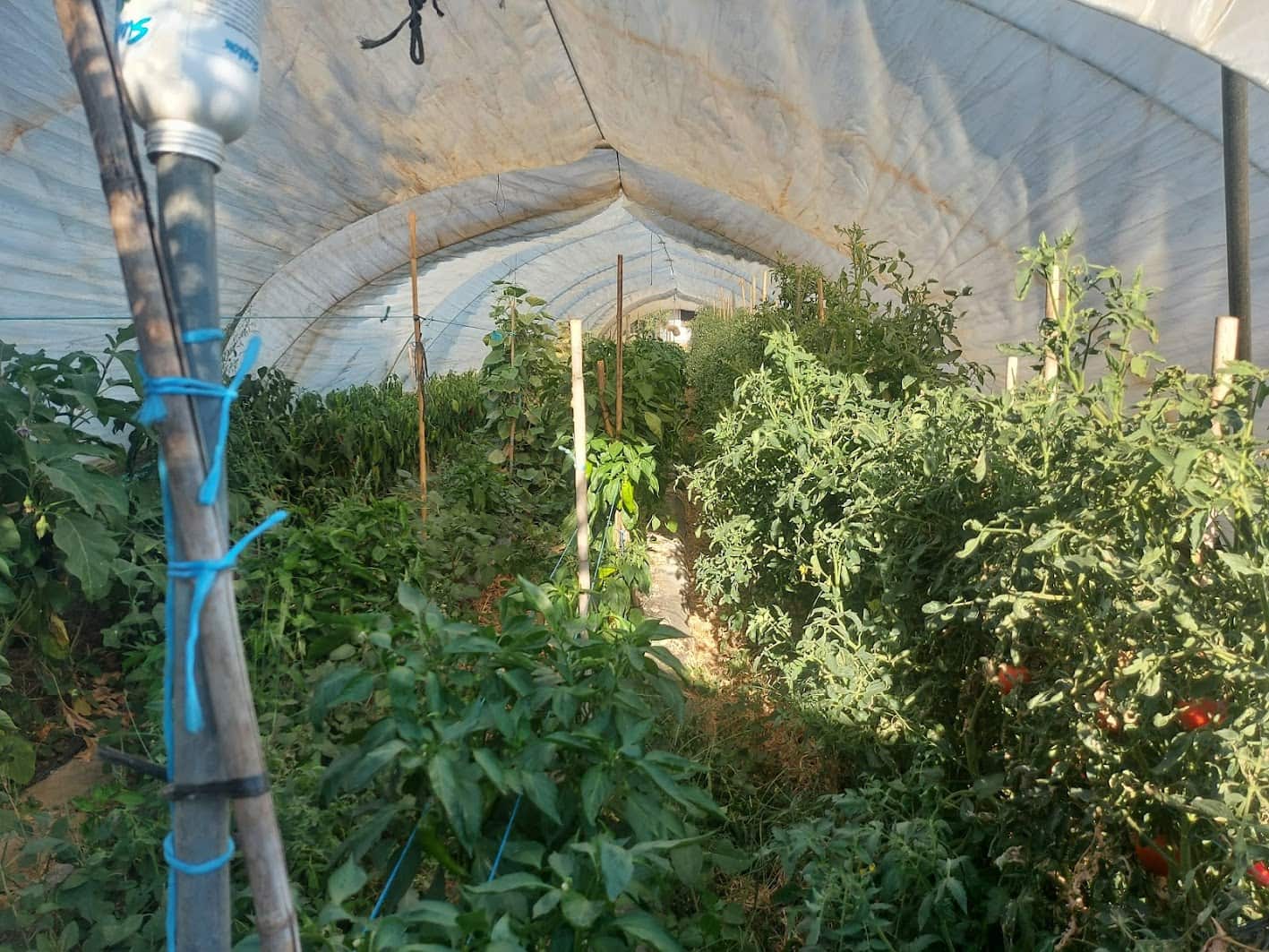 3 bedroom Finca/Country House for sale in Almonte with garage - € 85,000 (Ref: 9169390)