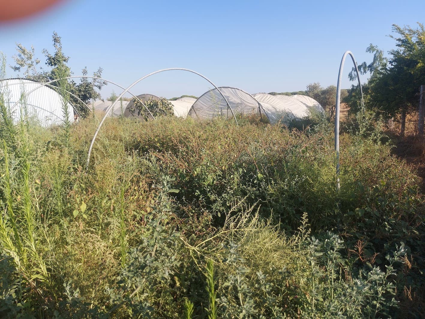 3 bedroom Finca/Country House for sale in Almonte with garage - € 85,000 (Ref: 9169390)