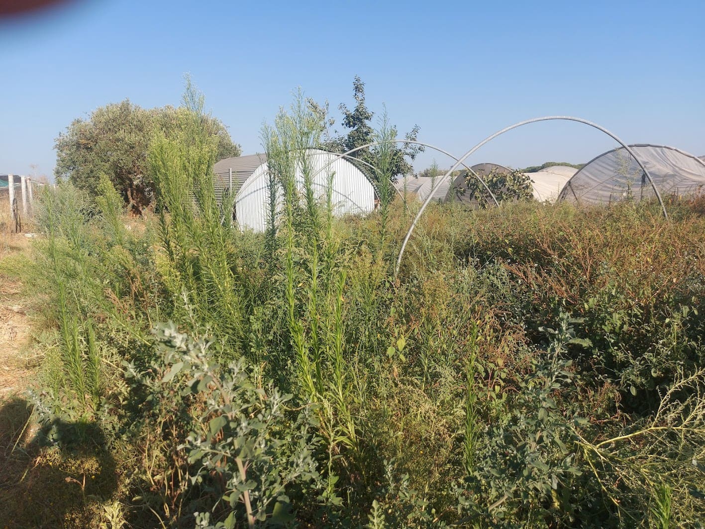 3 bedroom Finca/Country House for sale in Almonte with garage - € 85,000 (Ref: 9169390)