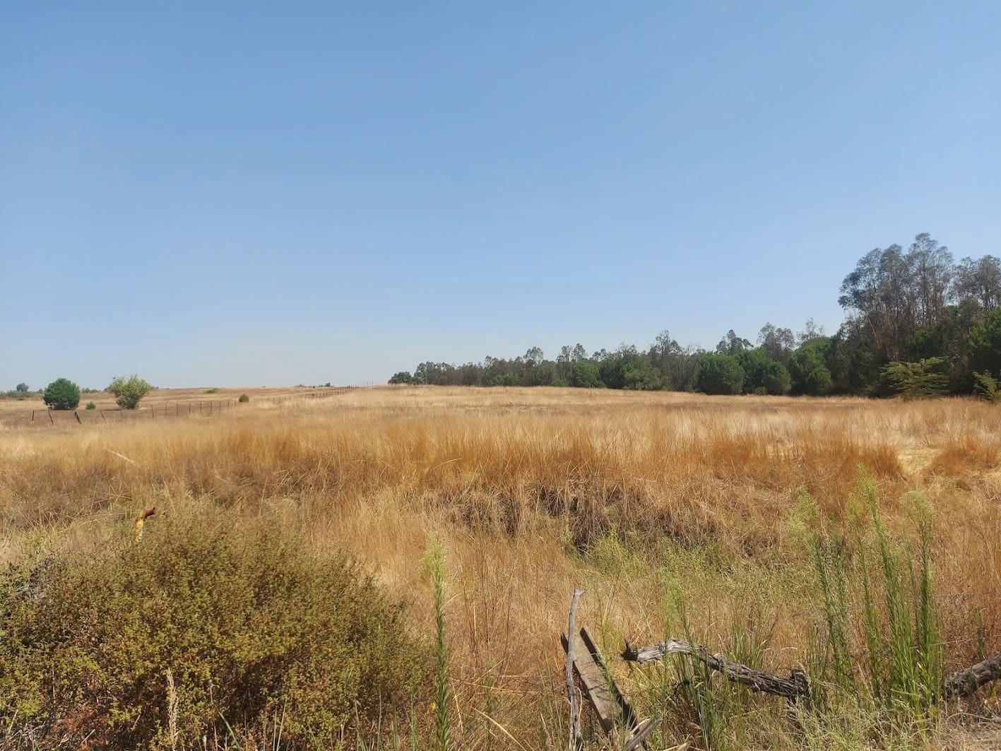 2 soveværelse Finca/Landehus til salg i Almonte med garage - € 71.000 (Ref: 9169519)