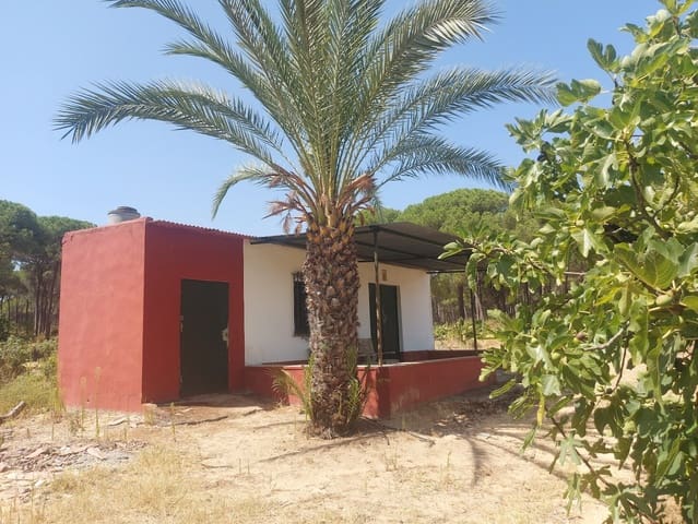 2 Zimmer Finca/Landgut zu verkaufen in Almonte mit Garage - 71.000 € (Ref: 9169519)