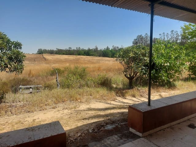 2 Zimmer Finca/Landgut zu verkaufen in Almonte mit Garage - 71.000 € (Ref: 9169519)