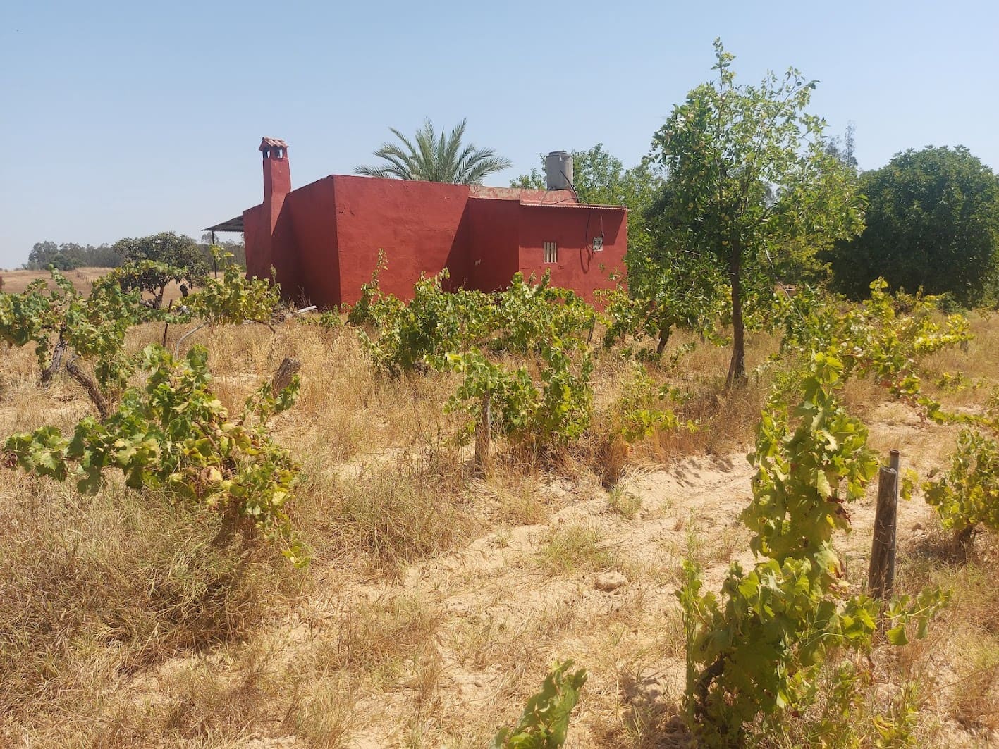 2 soveværelse Finca/Landehus til salg i Almonte med garage - € 71.000 (Ref: 9169519)