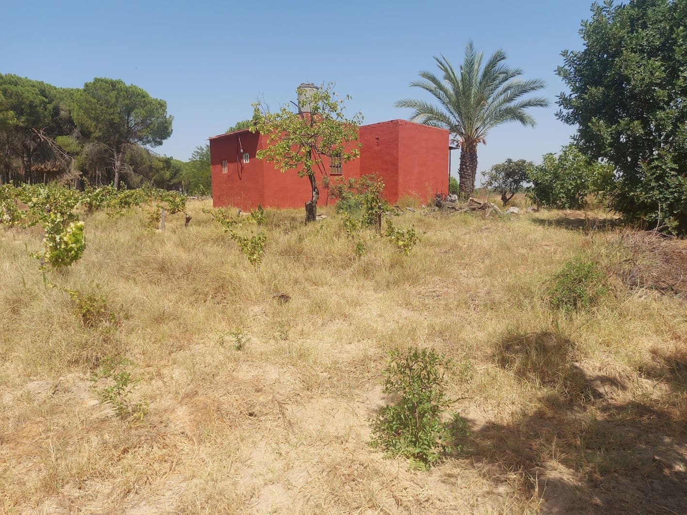 2 soveværelse Finca/Landehus til salg i Almonte med garage - € 71.000 (Ref: 9169519)