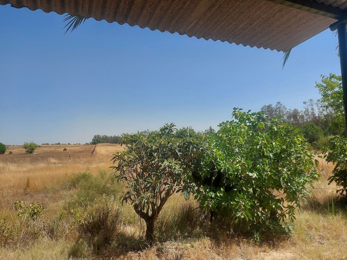 2 soveværelse Finca/Landehus til salg i Almonte med garage - € 71.000 (Ref: 9169519)