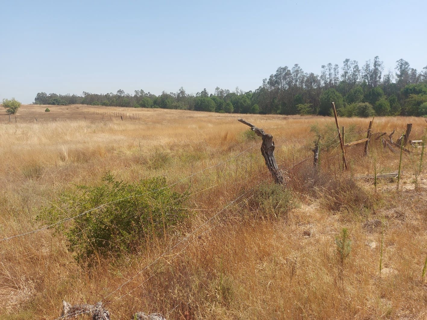 2 soveværelse Finca/Landehus til salg i Almonte med garage - € 71.000 (Ref: 9169519)