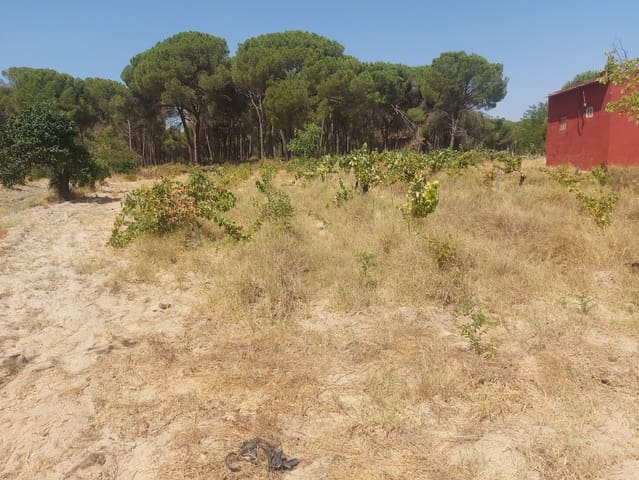 2 Zimmer Finca/Landgut zu verkaufen in Almonte mit Garage - 71.000 € (Ref: 9169519)