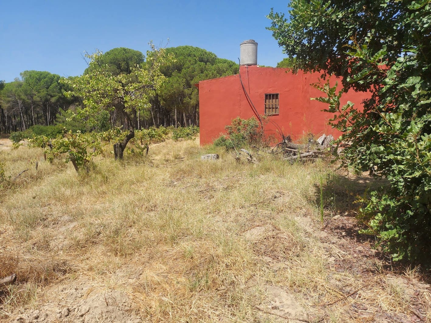 2 soveværelse Finca/Landehus til salg i Almonte med garage - € 71.000 (Ref: 9169519)