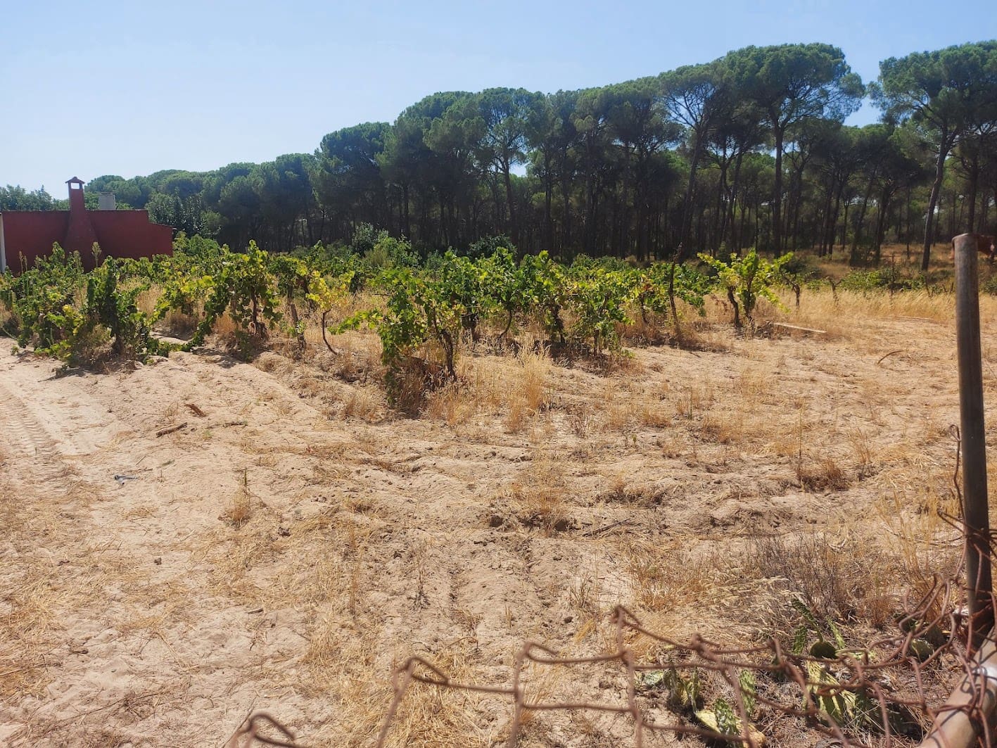 2 soveværelse Finca/Landehus til salg i Almonte med garage - € 71.000 (Ref: 9169519)