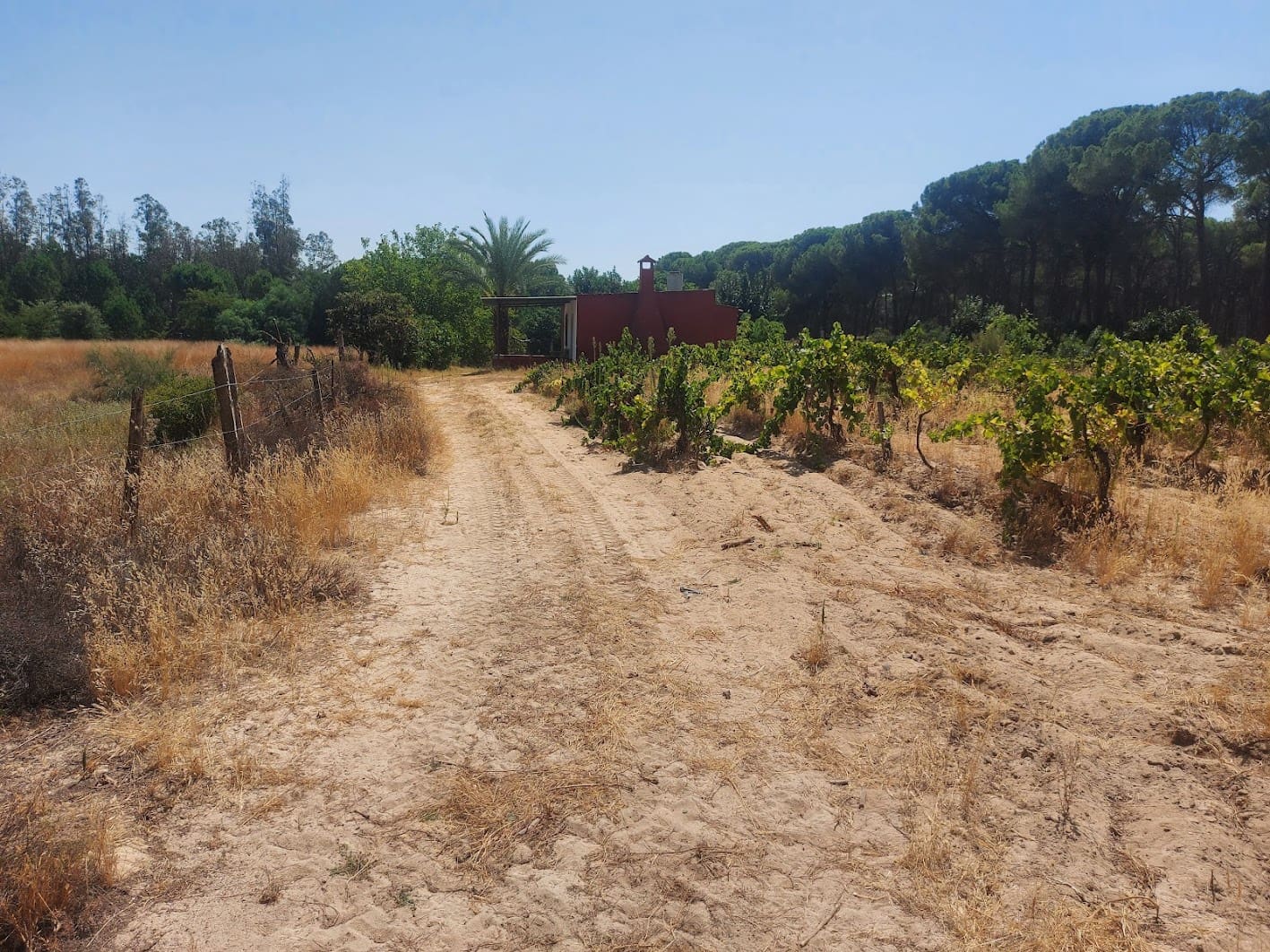 2 soveværelse Finca/Landehus til salg i Almonte med garage - € 71.000 (Ref: 9169519)