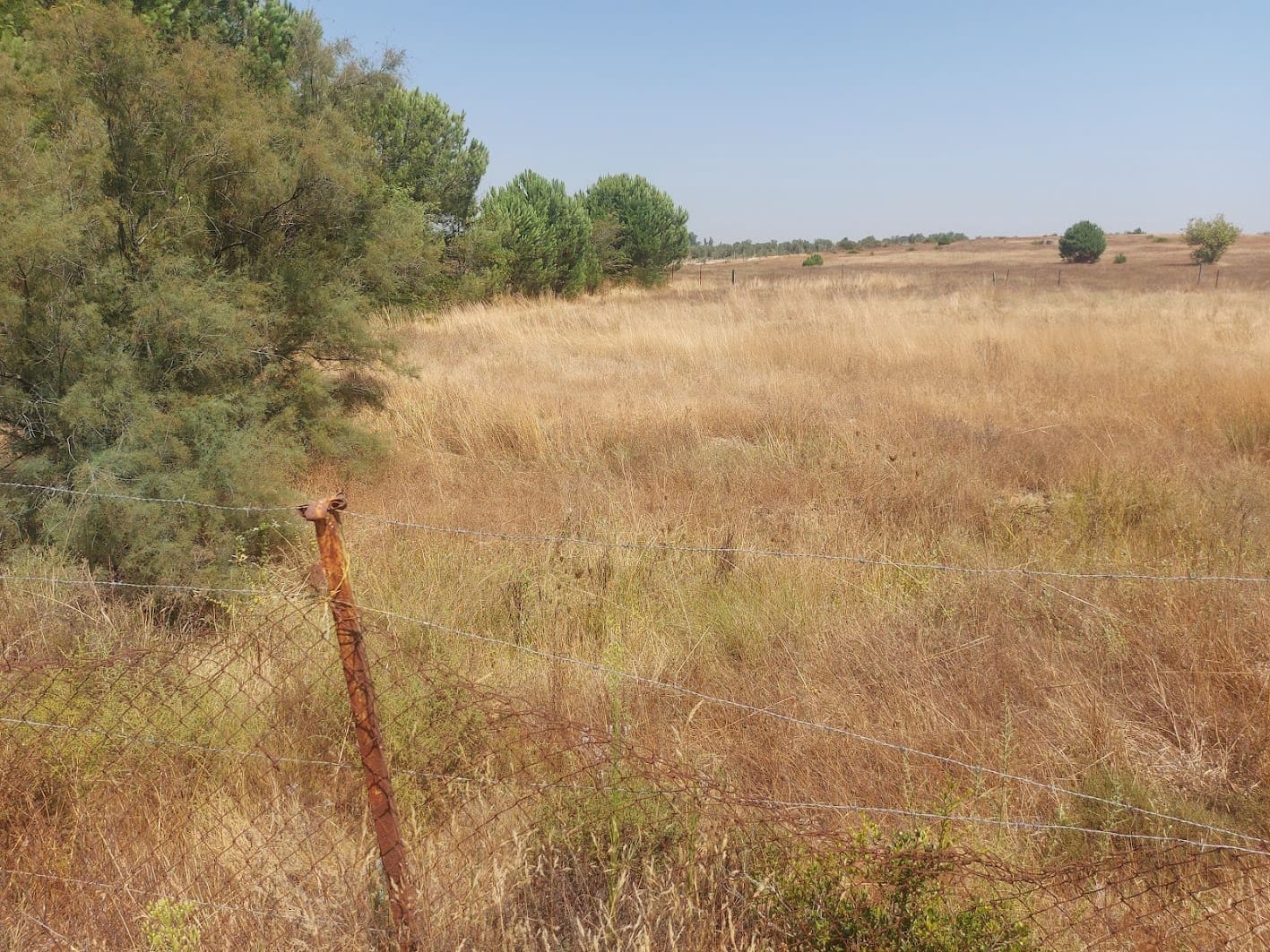 2 soveværelse Finca/Landehus til salg i Almonte med garage - € 71.000 (Ref: 9169519)