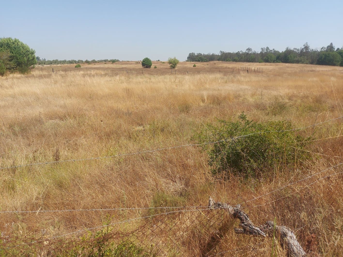 2 soveværelse Finca/Landehus til salg i Almonte med garage - € 71.000 (Ref: 9169519)