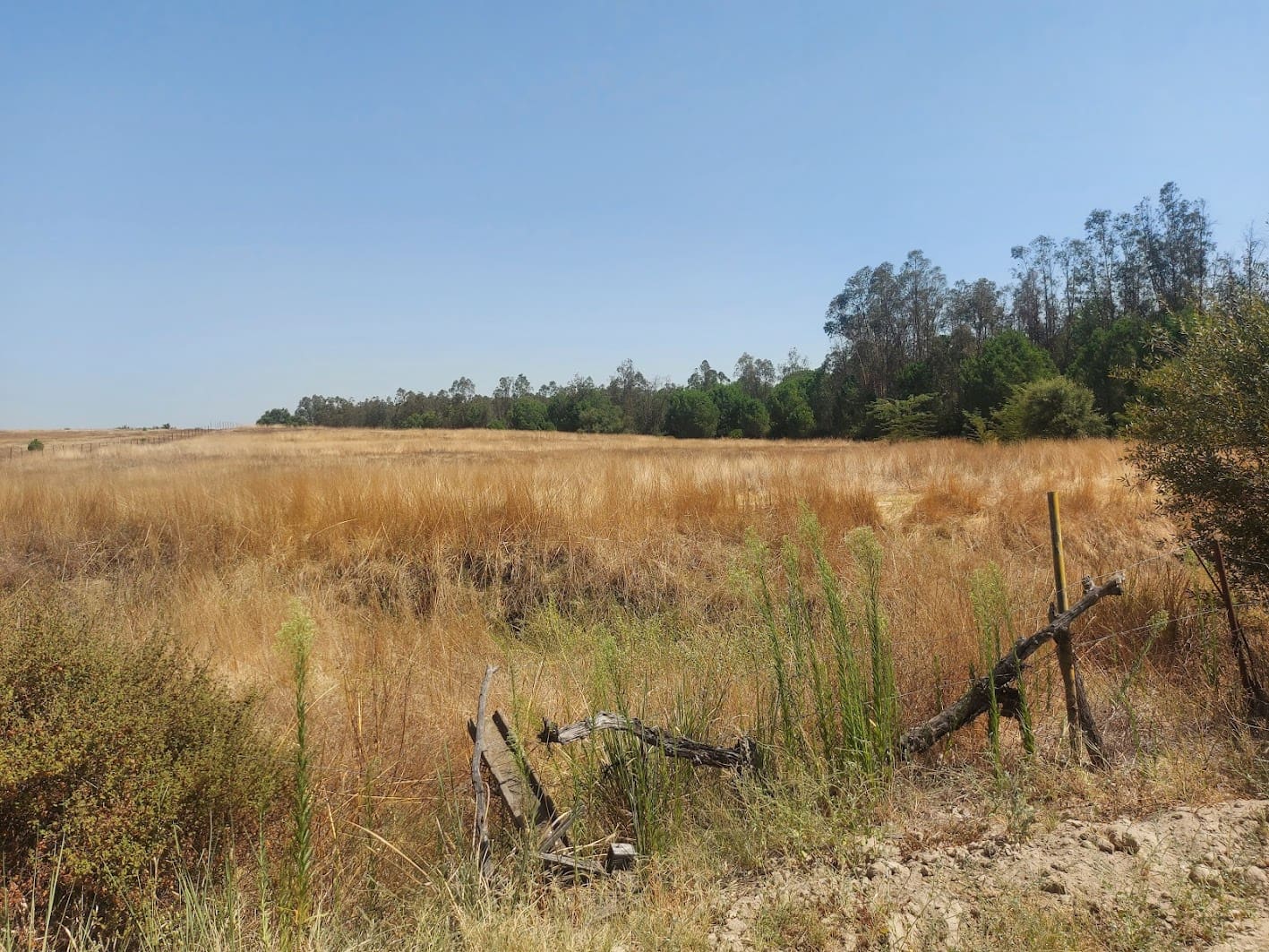 2 soveværelse Finca/Landehus til salg i Almonte med garage - € 71.000 (Ref: 9169519)