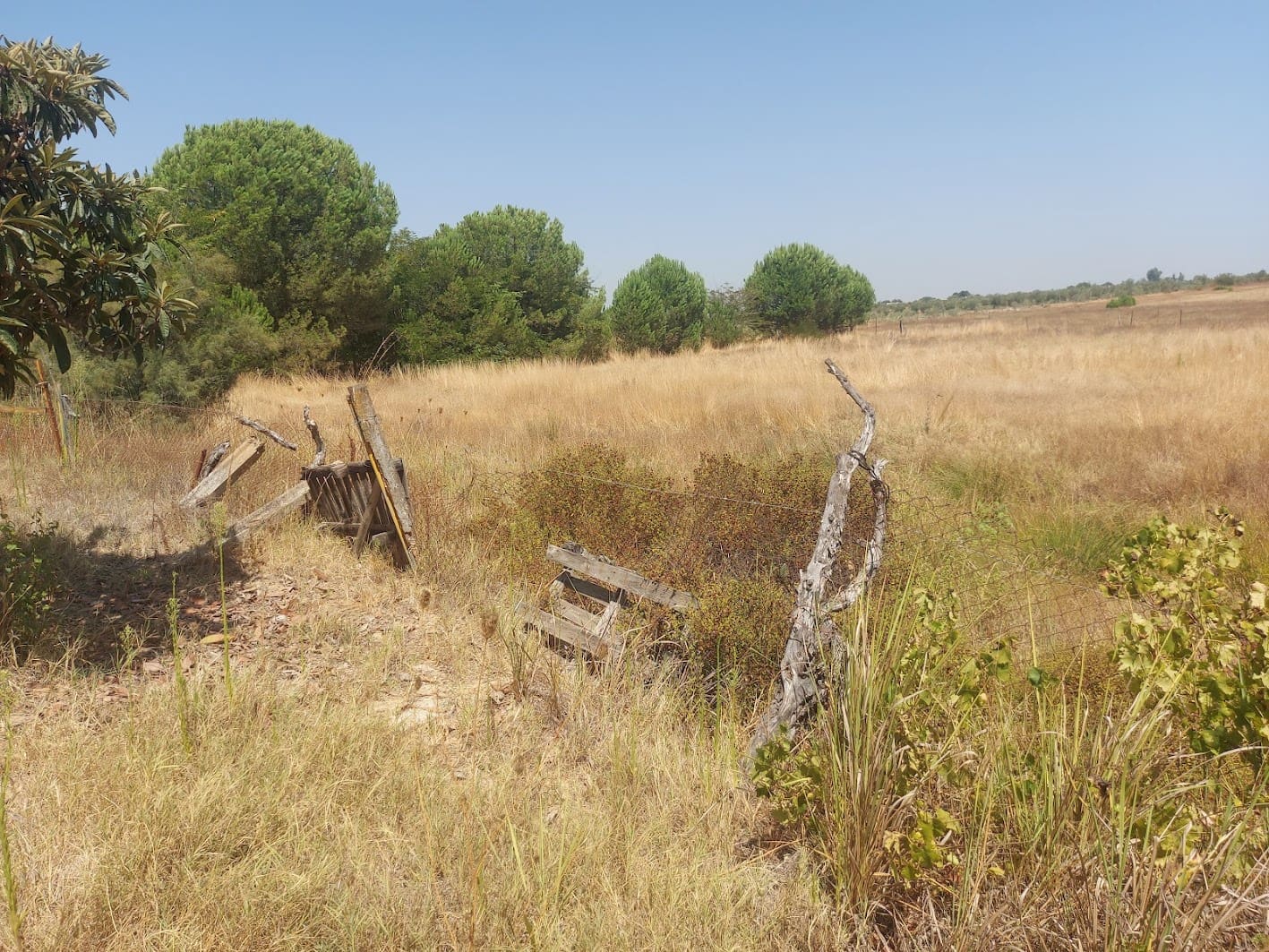 2 soveværelse Finca/Landehus til salg i Almonte med garage - € 71.000 (Ref: 9169519)