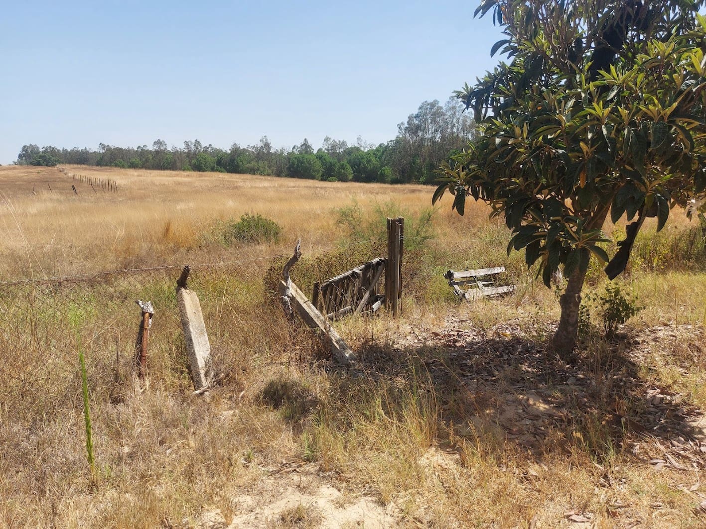 2 soveværelse Finca/Landehus til salg i Almonte med garage - € 71.000 (Ref: 9169519)