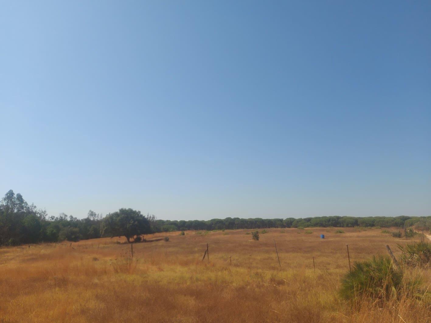 2 soveværelse Finca/Landehus til salg i Almonte med garage - € 71.000 (Ref: 9169519)